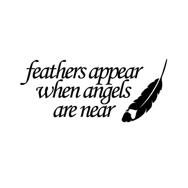 

17*7.3CM Fashion FEATHER Appear When Angels Are Near Vinyl Car Stickers Decal Black/Silver
