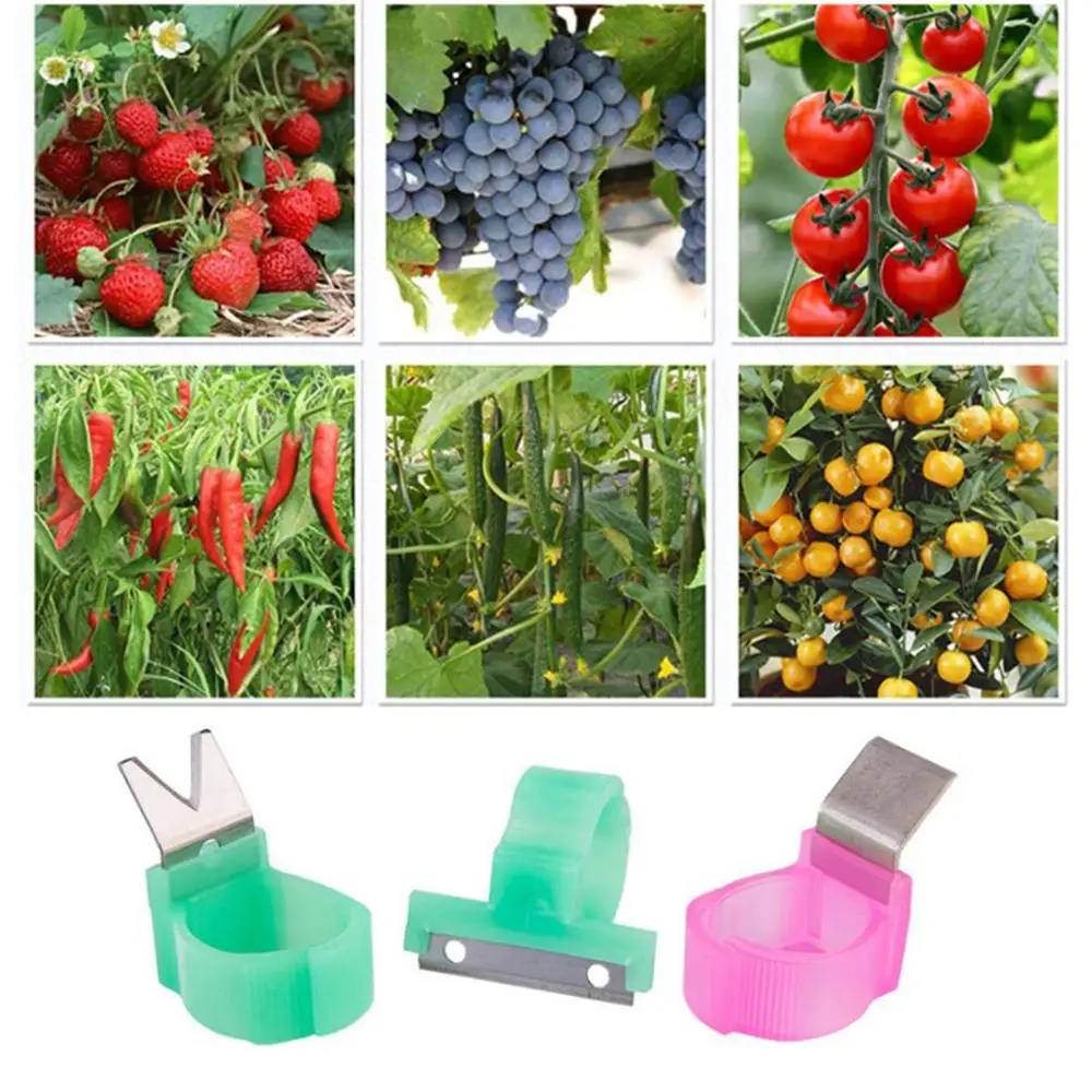 Регулируемый Овощной садовый фруктовый подборщик Кольцо большого пальца