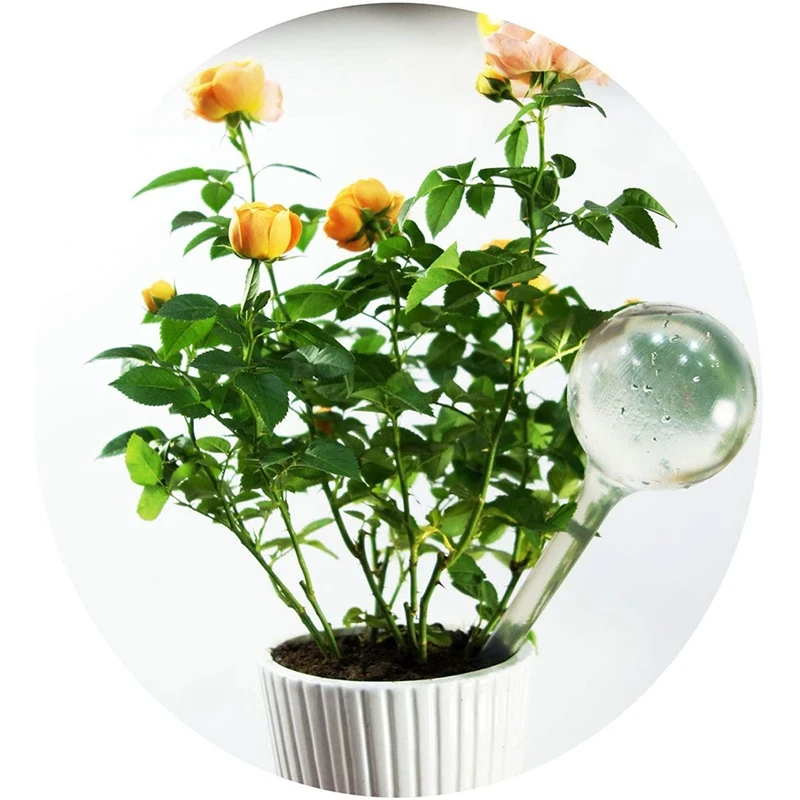 

Auto Self Watering Plant Bulbs, Unbreakable Plastic Balls Indoor Plants Watering Device, Watering Globes for Plant(6Pcs)