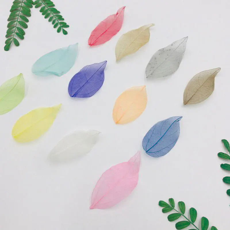 

Diamond Leaf Dried Pressed Flower DIY handmade material 1 lot/200pcs (5 bags) Free shipment