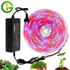 LED Grow Light DC12V Растущий Светодиодные полосы роста растений Light Set с адаптером и переключателем