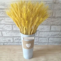 100pcs natural dried flower bouquets natural yellow color dried ear of wheat bouquetsyellow color wheat ear bunches