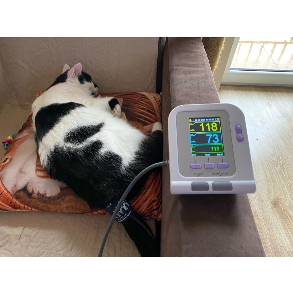 

Animal blood pressure Pet sphygmomanometer for Animal Selectable Digital Upper Arm Blood Pressure VET Monitor CONTEC08A