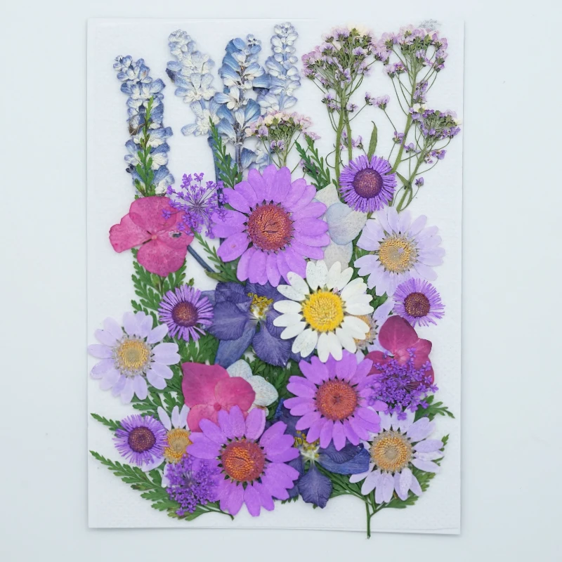 

small Dried Flowers Pressed Flowers DIY Preserved Flower Epoxy phone shell dry flower material Embossed face petal