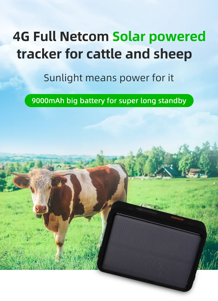 RF-V44 4G LTE gps устройство слежения солнечной энергии, определяющий местоположение в реальном времени, отключение топлива удаленно мини gps GSM трекер с держателем опций