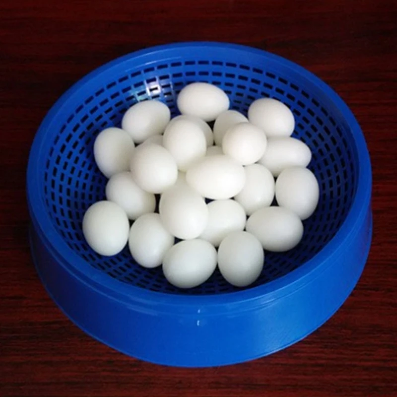 5 шт./лот накладные яйца голубей пластиковые имитации для разведения люков | Отзывы и видеообзор