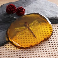 collection chinese beautiful amber dragonfly fossil insects manual polishing exquisite gift