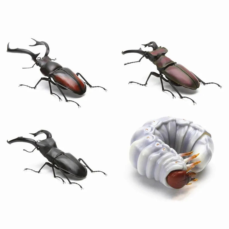 

Bandai Genuine Gashapon Toys Insect Biological Atlas Beetle Uang Dynastes Hercules Assembled Action Figure Model Ornaments Toys