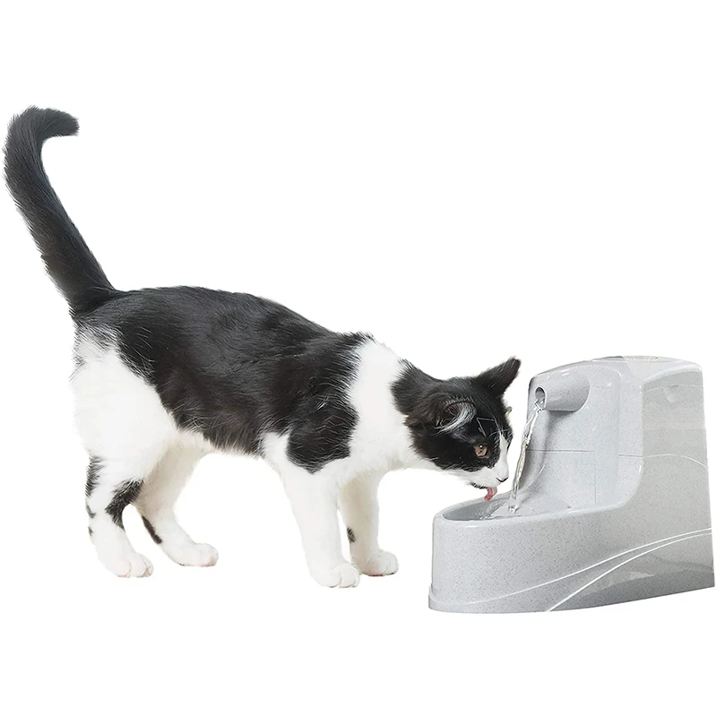 

Dog Cat Water Fountain Automatic Water Feeder Dispenser Container Mini Pet fountain for Cats and Small Dogs with Filter Included