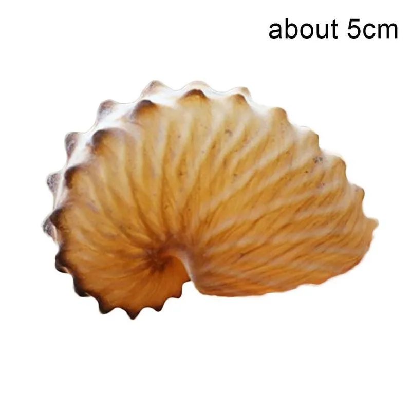 1pc 5cm Natural Conch Shell Mediterranean Terraces Wall Decoration Collection Gifts Large Octopus Coral Snail Shells Specimens | Дом и сад
