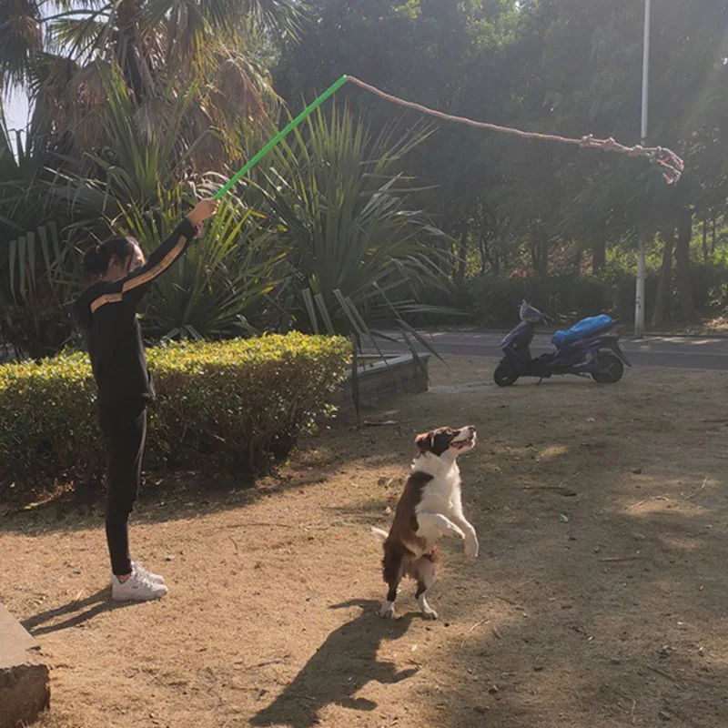 

Pet Dog Toys Interacting Rope Tug of War Exercise Durable for Puppy Training BJStore