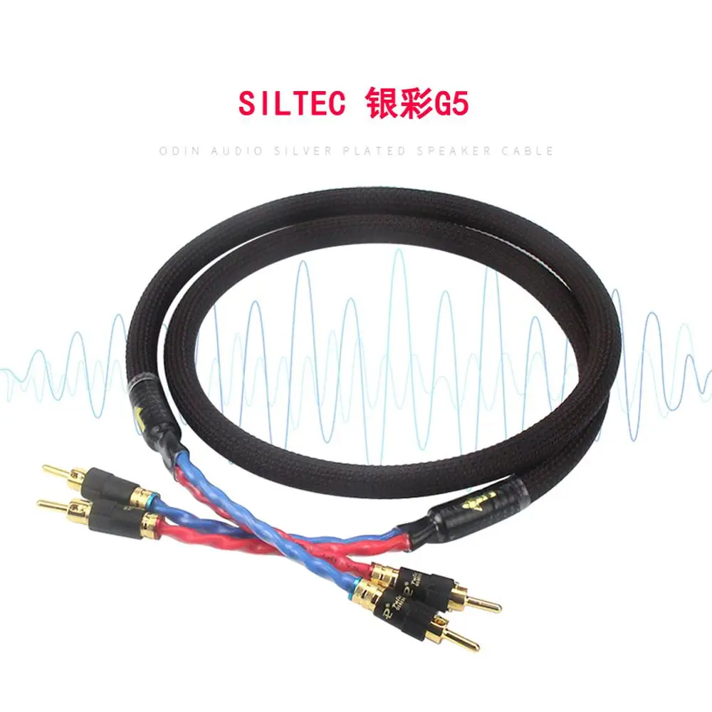 Холдейн пара Hi-Fi с золотым покрытием кабель со штекером типа банан Динамик аудио