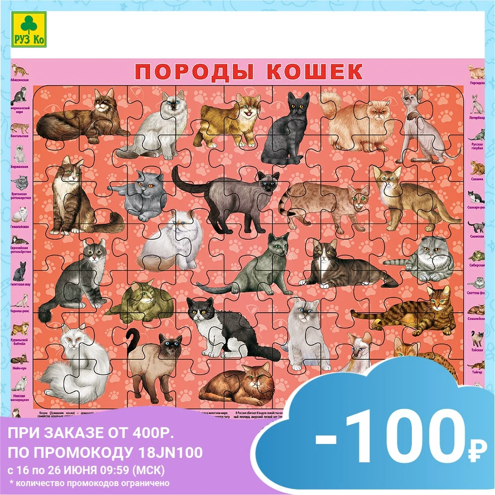 Детский пазл на подложке Руз Ко (36х28 см 63 эл.). Породы кошек.|Пазлы| |