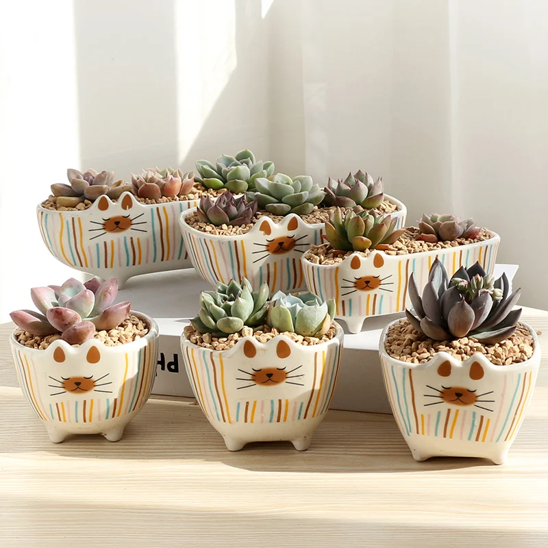 Корейский мультфильм кошка мульти-мясо маленький цветочный горшок Ретро дышащая