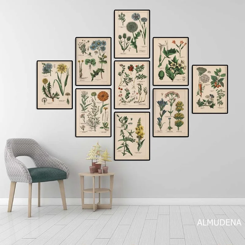 

Botanical Collection Vintage Posters and Prints Herbs 1898s Russian Language Wall Art Pictures Canvas Painting Home Wall Decor