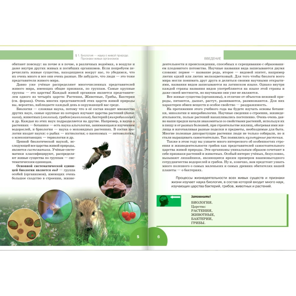 Biology. 6th grade. Textbook. Line &quotAngle&quot. FSES Study Guides Workbooks Dictionaries Education Teaching Books Office School Supplies |