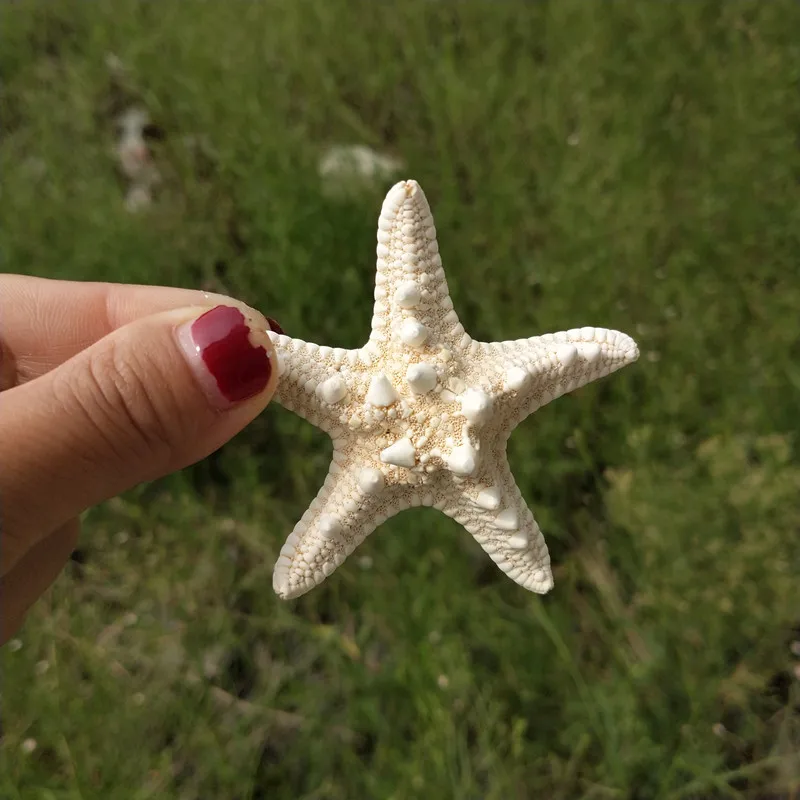 Домашний декор, 3 шт., белая Морская звезда, 3-8 см, белый натуральный палец, Морская звезда, Свадебный декор, морские ракушки, вечерние, бежевые, морская звезда, ремесла