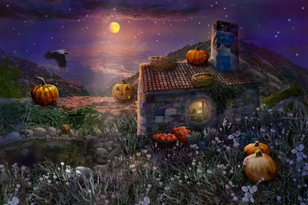 

Halloween Party Backdrop Haunted House Pumpkins Moon Night Photography Background Baby Adult Portrait Banner Photo Booth Studio