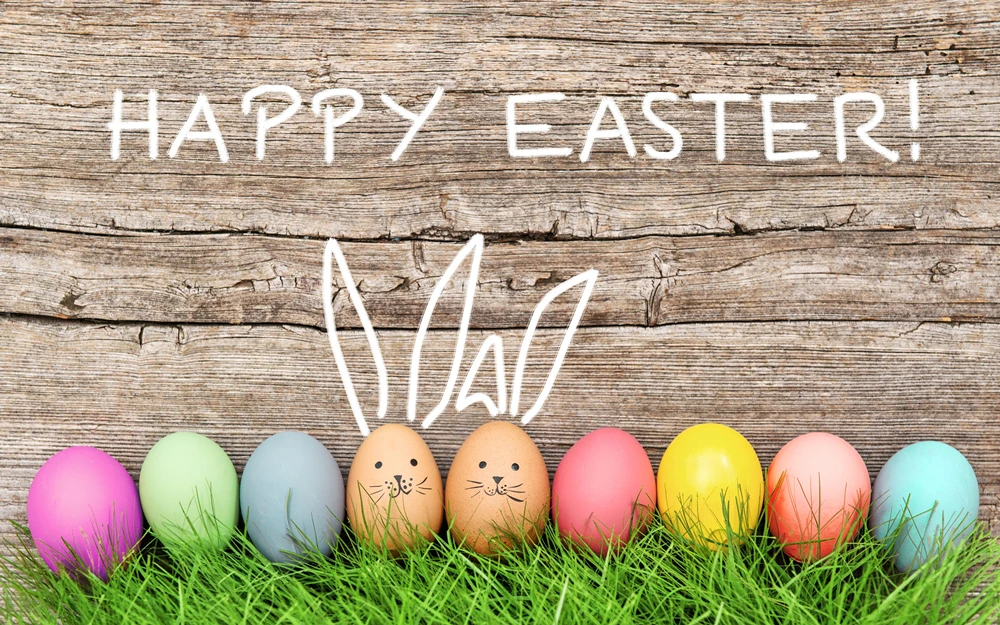 LEVOO Photography Backdrop Easter Eggs Bunny Grass Wooden Wall Decoration Background Photo Studio Photocall Shoot Prop | Электроника