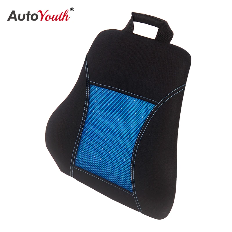 

AUTOYOUTH Mesh Super Soft Chair Back Support Lumbar Support Car Seat Cushion Back Pain Memory Polyester Black and Blue