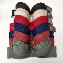 Roupa interior feminina sexy renda lingerie push up reunir sutiã íntimo feminino underwire sutiã completo copo confortável acolchoado bralette (1)