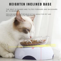 cat bowl inclined single bowl for cat dog protects cervical spine inclined 15%c2%b0 transparent food bowl cat feeder cat accessories