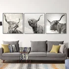 Черный и белый Як Highland Корова картина на стену диких животных обезьяна холст Nordic Плакаты и принты, искусство, картина домашний декор