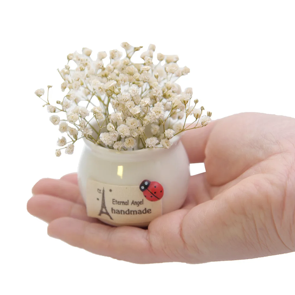 Eternal Life Flower полный маленьких цветов мини бутылка домашняя машина горшечная