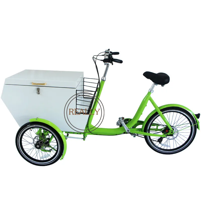 Bicicleta de Carga com Caixa de Metal Elétrico para Adulto Perto com Tampa Novo Design Três Rodas Triciclo 2021