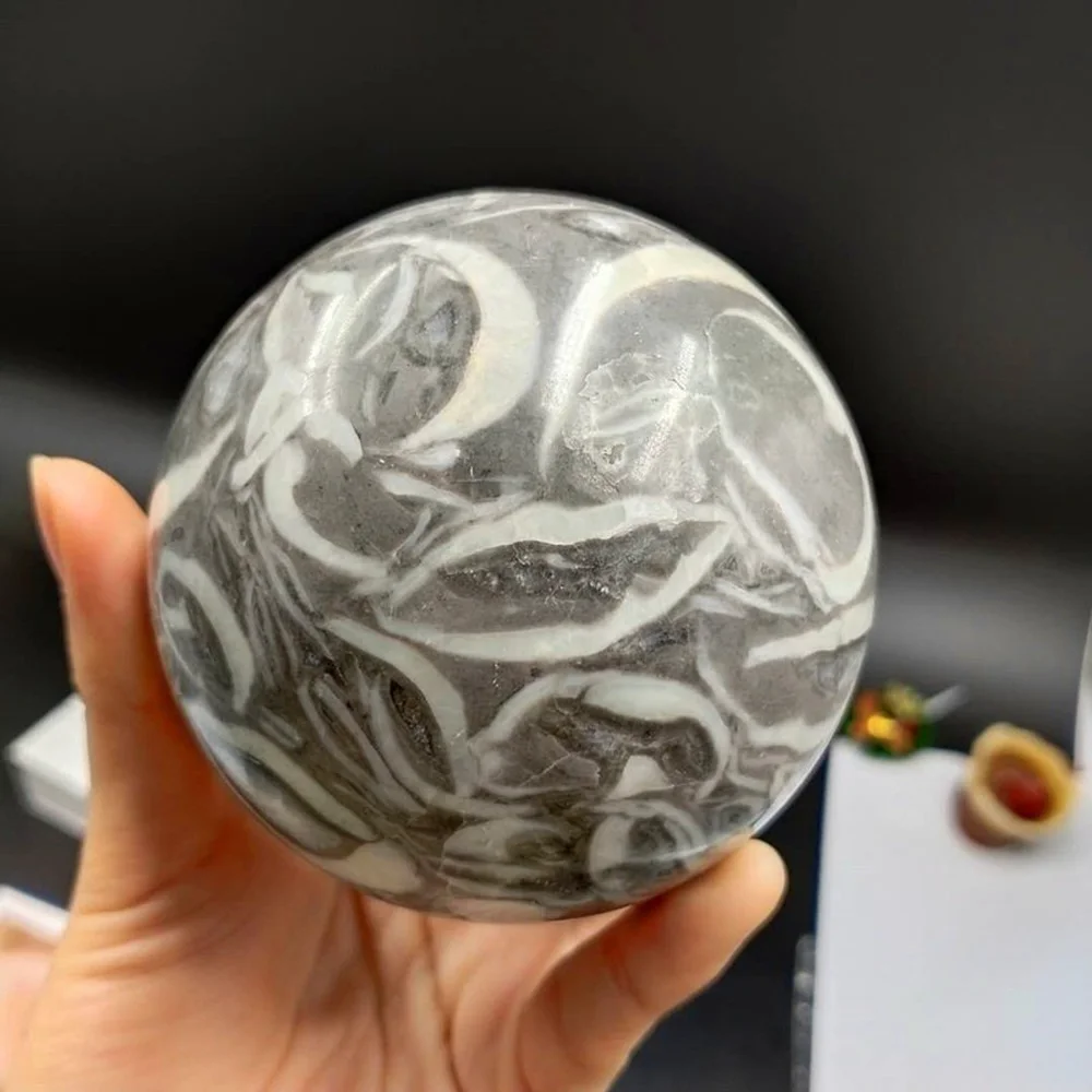 

500g-700g Natural polished shell jasper furniture crystal ball
