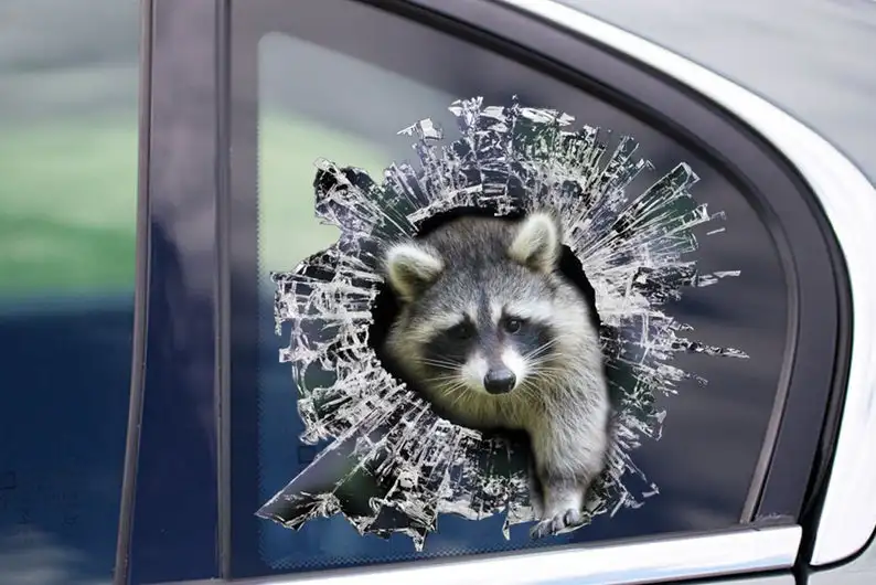 

STICKER, Raccoon window sticker, car sticker, raccoon car decal, funny sticker