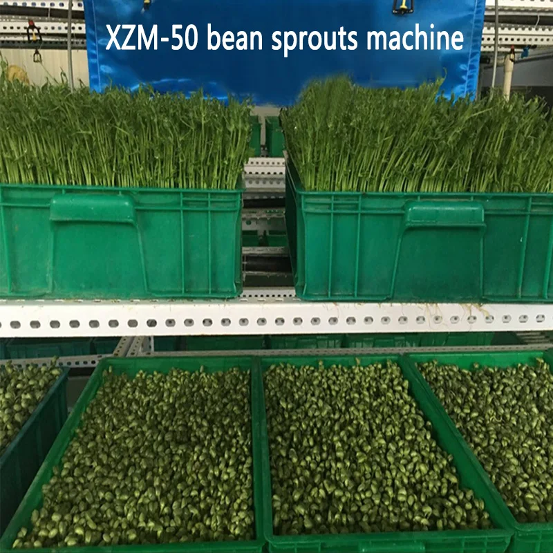 1 шт. аппарат для выращивания семян с термостатом | Бытовая техника