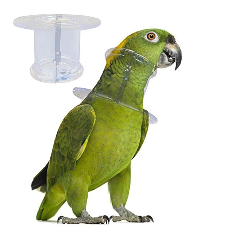 Птица защитная бусина попугай анти перо выбор выщипывание воротник Медицинский