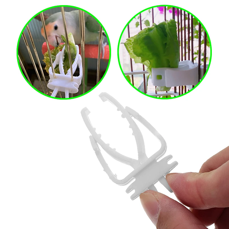 

Cute Small Pet Bird Food Holder Parrot Fruits Vegetables Clip Cuttlefish Bone Feeder Device Clamp Bird Cage Accessories Oiseaux