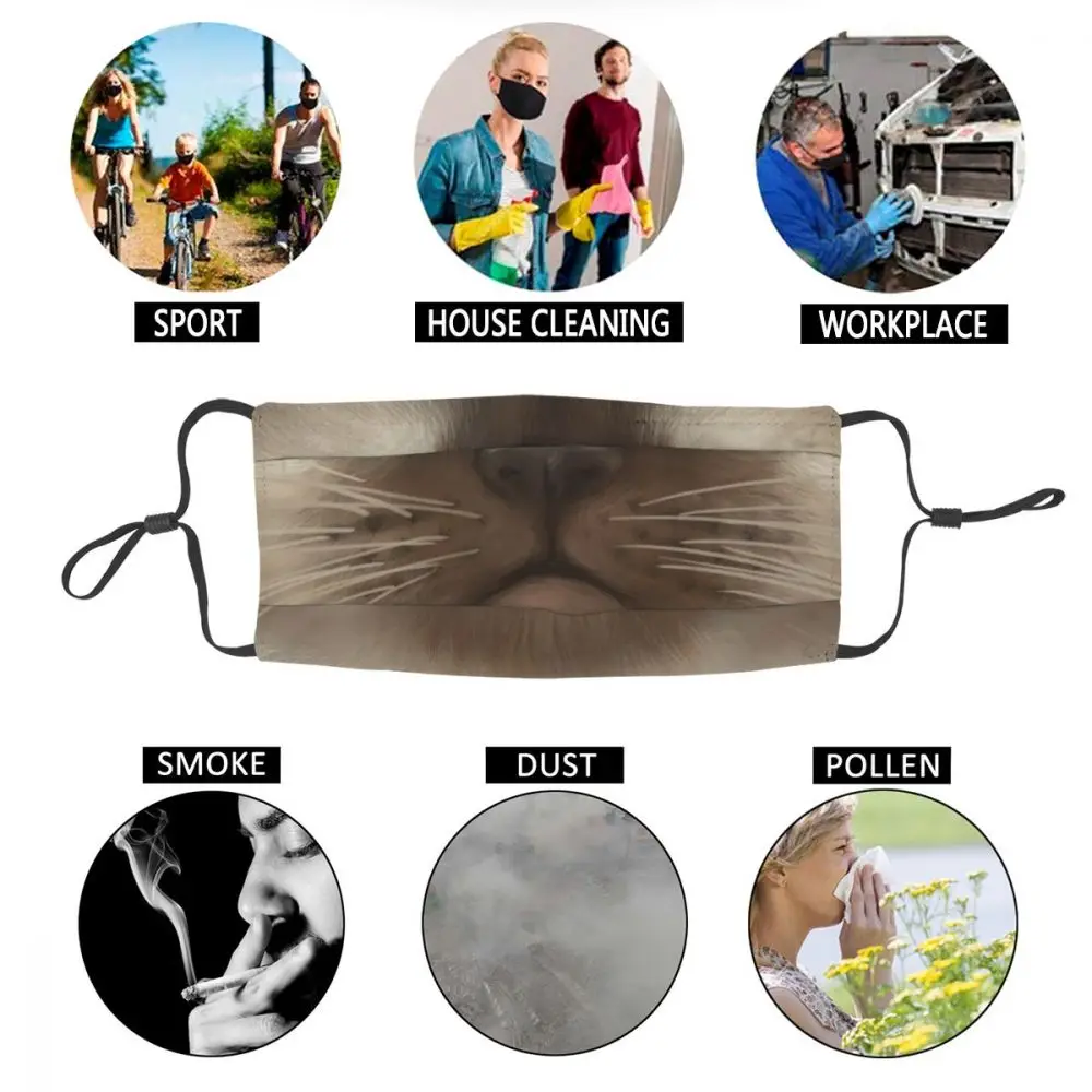 

Cat Face Reusable Face Mask Fashion 3D Printing Anti Haze Protection Mask Respirator Mouth Muffle