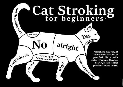 

Cat Stroking for Beginners Mini Poster Metal Tin Sign Wall Decor Man Cave Bar 8"x12"Inch