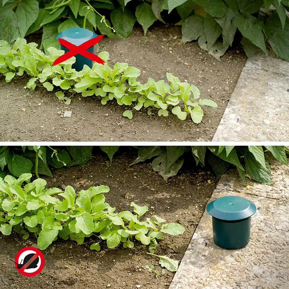 Ловушка для ногтей маленькая рыбка аквариум водный пруд пресноводная вода еда