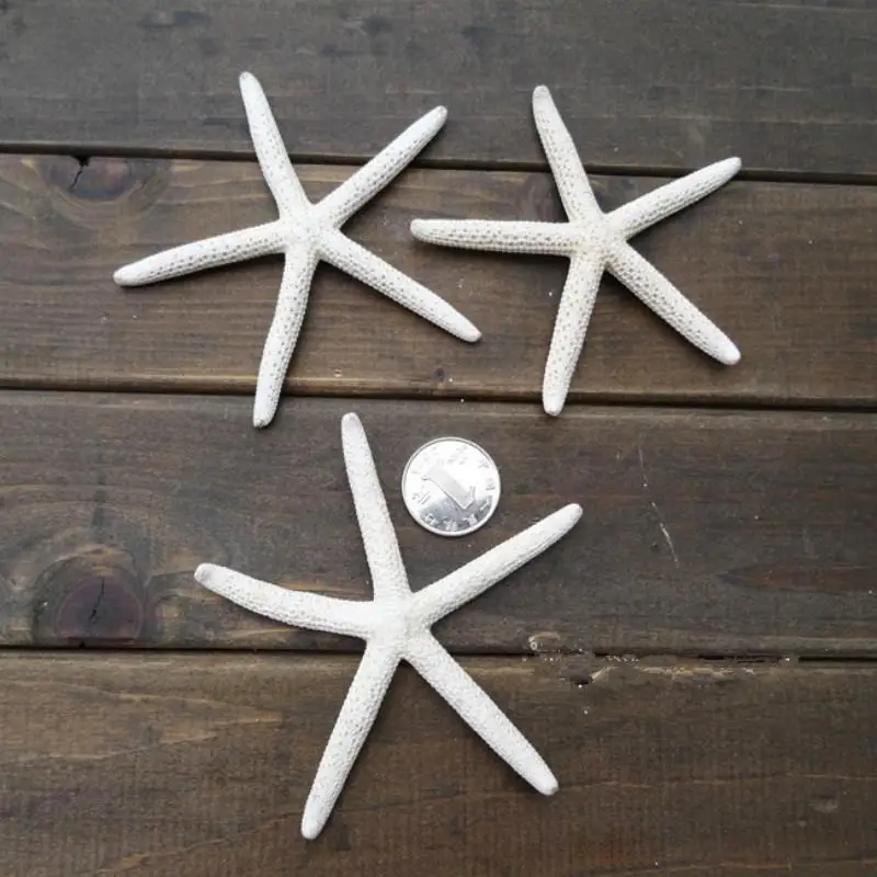 

white starfish starfish decoration sea accessories star fish mediterranean decoration sea