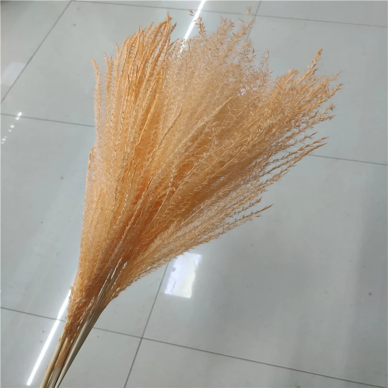 

Hot Selling Decorative Mutiple Colors Horse Tail Grass Natural Dried Flowers 30 Steams Bunch Bouquet For Daily Home Party Decor