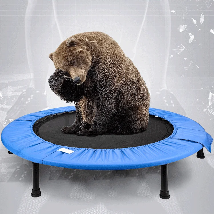 

Gym Fitness Trampoline Adult Indoor Bouncing Bed Jumping Accessories Trampoline Weight Loss Cama Elastica Sports Equipment