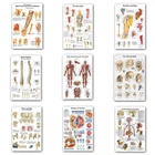 Плакат на стену в стиле анатомии человека, художественная шелковая Живопись, карта тела, настенные картины для медицинского образования, украшение для клиники