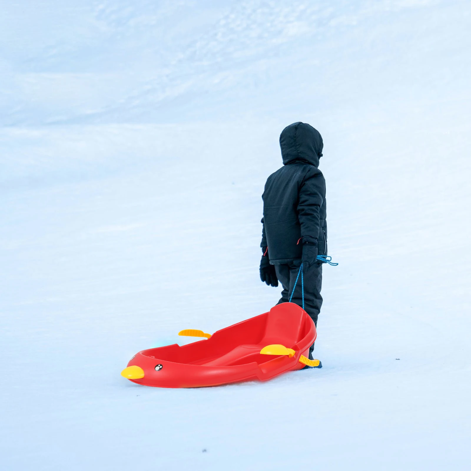 1 шт. уличные снежные сани трава доска многоцелевой скейтборд детский автомобиль