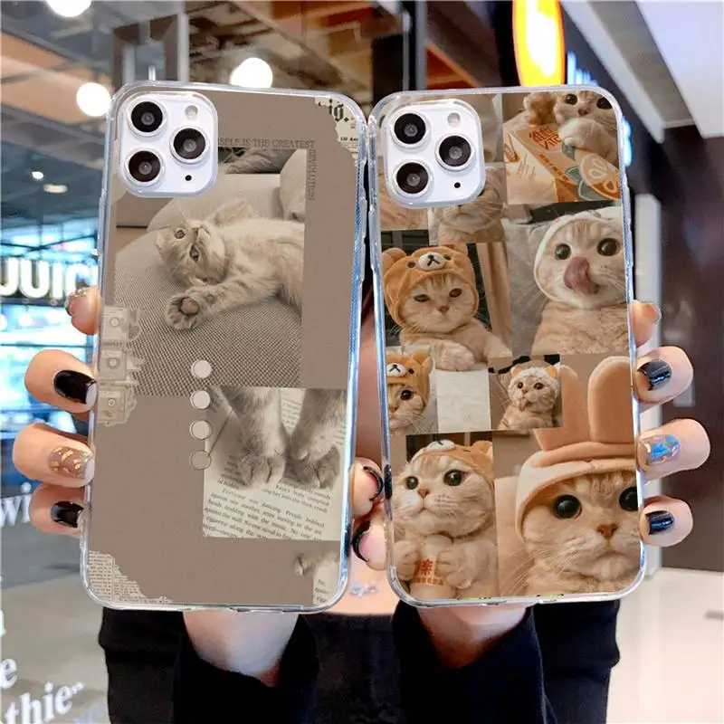 

Cat Phone Case For IPhone SE2 11 Pro XS MAX XS XR 8 7 6 Plus 5 5S SE Case