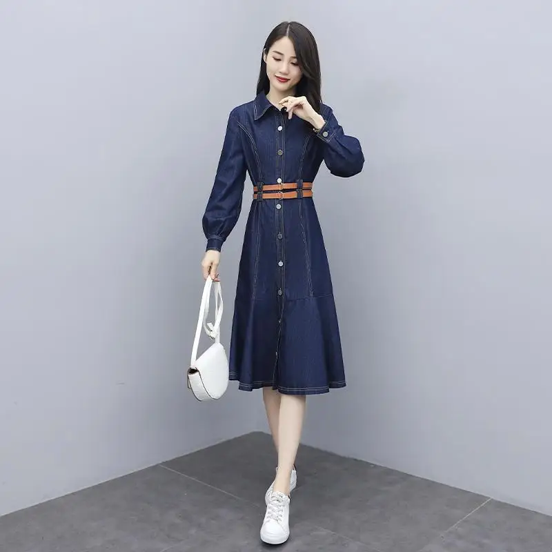 

2021 spring new style Korean fan fashionable western goddess fan denim dress female slim slimming dress