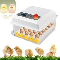 digital egg incubator automatic home use hatcher 16 eggs temperature control and automatic rotation for multiple sizes