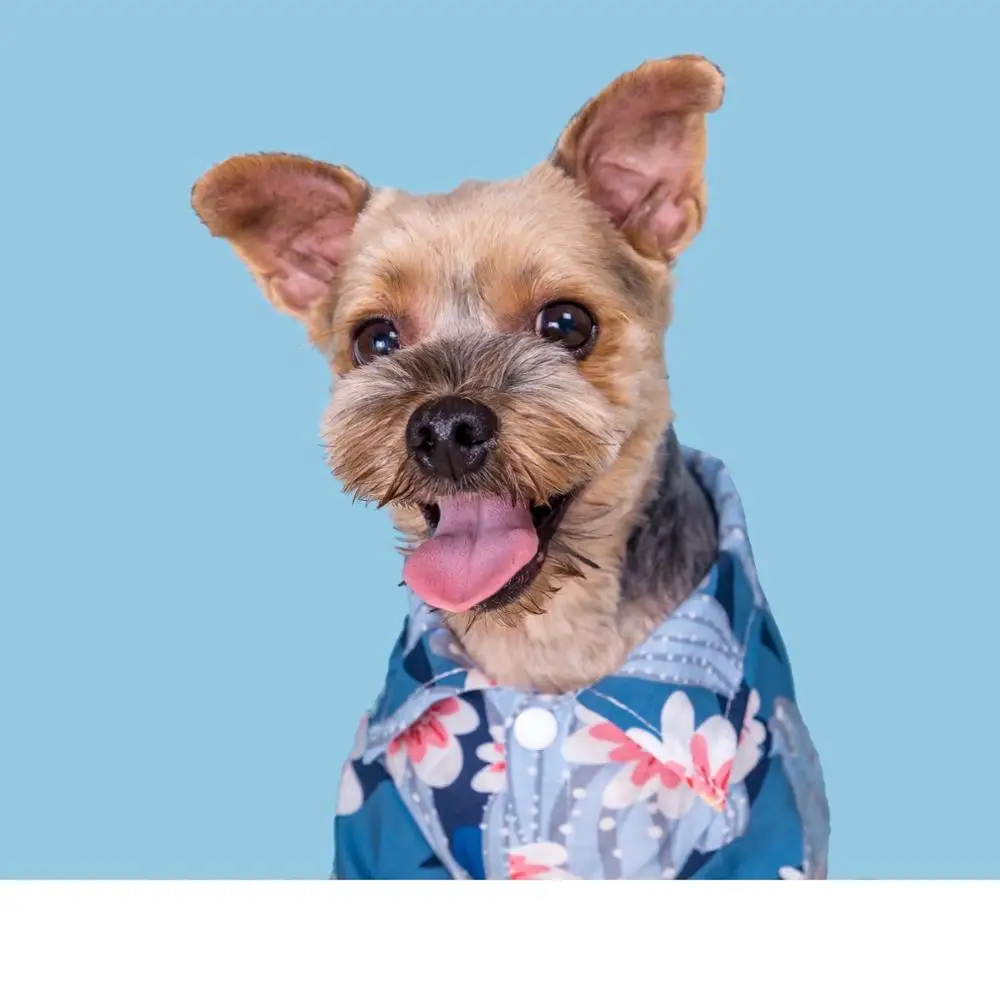 Модная летняя рубашка с цветочным принтом для маленьких средних и больших собак