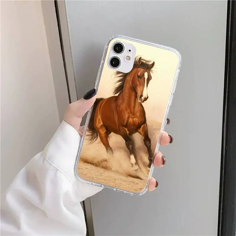 

Frederik The Great beauty horse Phone Case Transparent for iPhone 11 12 mini pro XS MAX 8 7 6 6S Plus X 5S SE 2020 XR