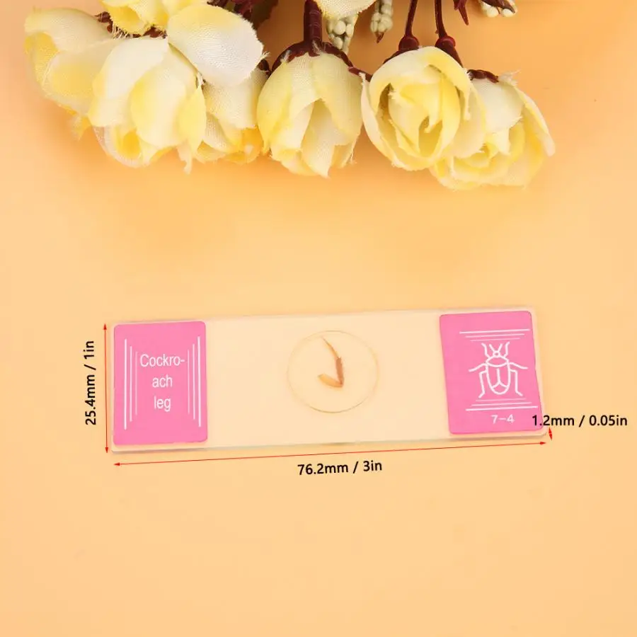 Стеклянные слайды подготовленные для микроскопа лабораторные образцы набор