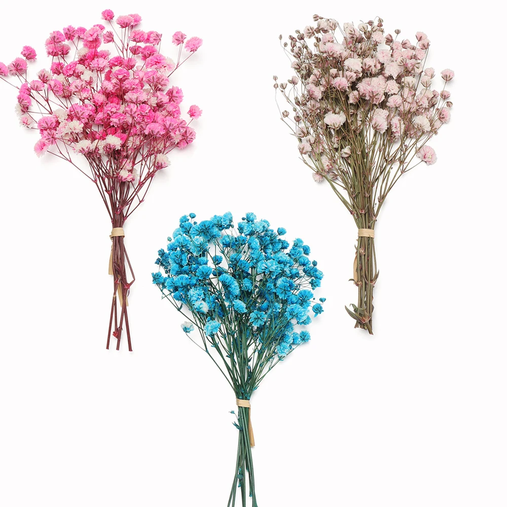 

Миниатюрные декоративные сушеные цветы, букет цветов Babysbreath, натуральные растения, сохраняющие цветы для свадьбы, украшение для дома