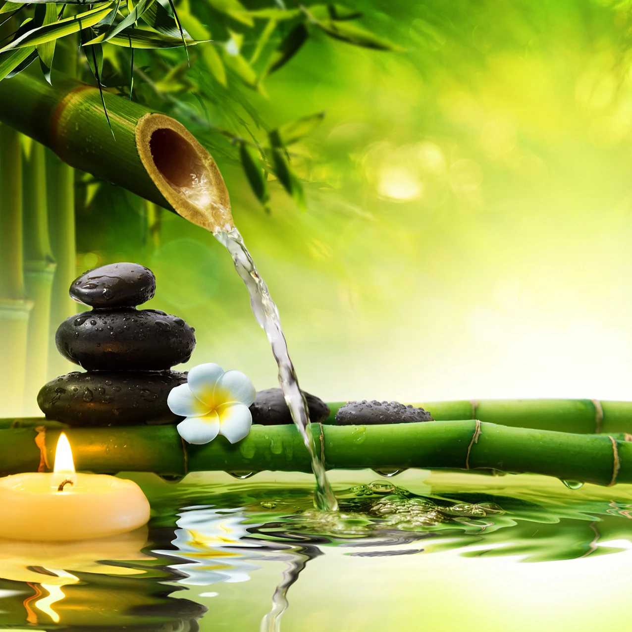 Пейзаж в японском стиле бамбуковые камни холст художественная живопись плакаты